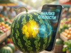 Арбузная нейронка: таганрожцам объяснили, как выбрать ягоду с помощью смартфона