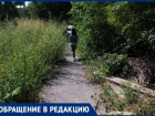 Сквозь амброзию и в темноте пойдут дети в школу № 12 Таганрога