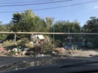 Улица Хмельницкого, 6 в Таганроге  утопает в амброзии и мусоре