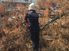 Помощь пришла откуда не ждали - спасатели Таганрога убрали сломанное дерево