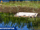 Преобразившаяся роща «Дубки» в Таганроге