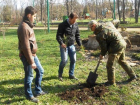 Исполняющий обязанности мэра рассказал об озеленении Таганрога