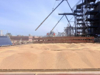 90 тысяч тонн зерна экспортировали из порта Таганрога
