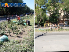 В Таганроге на ул. Дзержинского взялись за розы
