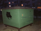 Таганрожец построил дом для бездомных котов