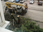 Через несколько часов после публикации «Блокнот Таганрог» исчезло дерево по ул. П. Тольятти