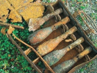 Под Таганрогом рабочие нашли три ящика минометных мин