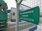 20 тонн санкционной говяжьей печени задержали на Таганрогской таможне