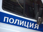 Начинающего грабителя поймали полицейские Таганрога