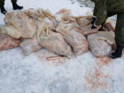 В Таганроге задержан мужчина, наловивший рыбы почти на 2 млн рублей