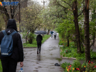  Воскресенье таганрожцам лучше провести с зонтом
