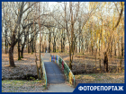 В Таганроге можно увидеть дубы, которым 250 лет и погулять в историческом парке