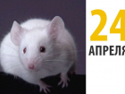 Сегодня Всемирный день защиты лабораторных животных