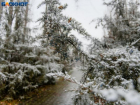 Снег и метели остаются: "настроение" погоды на новой неделе