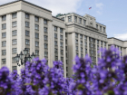   Информация о  размещении предвыборных агитационных материалов(Выборы депутатов Государственной Думы)