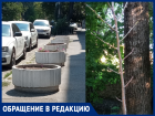 "А нужно нам такое древонасаждение?" - интересуются читатели 