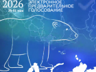 Заведующие садов и школ, директор строительной компании, консультант депутатов: кто участвует в праймериз «Единой России» от округа Таганрога