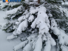 Морозы в Таганроге берут тайм-аут