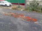 В Таганроге после свиньи строительный мусор убрали пожилые люди