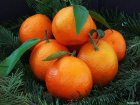 Перед Новым годом продажи мандаринов выросли на 1/3: как выбрать самые вкусные