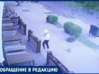 Разгневанный хулиган разнес клумбы и разбил витрину в центре Таганрога