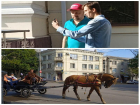 "Смешались в кучу кони, люди": Гоша Куценко перешёл дорогу телеге, разъезжающей по Петровской