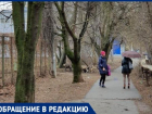 Смелая таганроженка пыталась спасти кота от бродячих собак, но не смогла