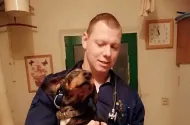 Круглосуточная помощь ветеринарного врача с выездом на дом. - 