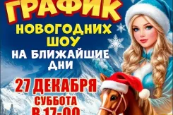 Свидание с чудом: куда пойти с ребёнком, чтобы запомнилось надолго