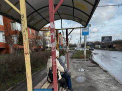 Изящное стихотворение написала таганроженка на тему городских остановок