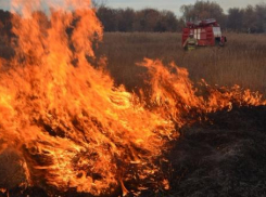 В Таганроге сложилась наихудшая обстановка по возгоранию сухой растительности