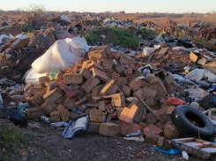 Прокуратура потребовала администрацию Таганрога ликвидировать 19 свалок по Николаевскому шоссе 