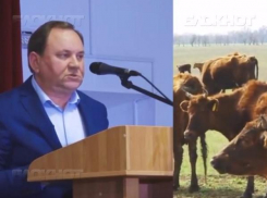 Как «поднимали» Заветное, или кто такой Виктор Дерябкин?