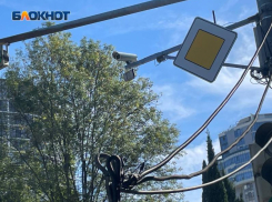 Почти 15 миллионов рублей потратят на систему «Безопасный город» в Таганроге