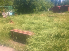 Таганрогские малыши вынуждены играть в квест «найди песочницу»