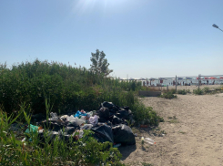После публикации «Блокнота» администрация пообещала убрать свалку и поставить контейнеры