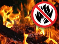 В Ростовской области ввели противопожарный режим