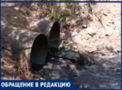 Таганрогский залив: кто-то ещё хочет искупаться?