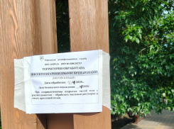 Обработка рощи Дубки от клещей: что нужно знать таганрожцам