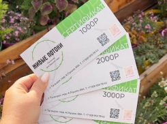 День учителя: цветочный подарок на долгие годы