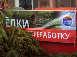 Подводим итоги  акции «Елки в переработку!» 2025.