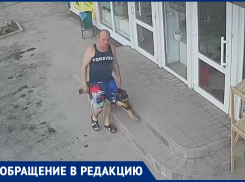 Таганрожцу так понравилась туя у магазина, что он решил унести её с собой