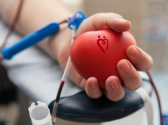 Начали сбор крови для пострадавшего в ДТП в Кисловодске таганрожца