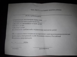 Родителей детсадовцев Таганрога обязали носить в дошкольное учреждение чек-лист о здоровье