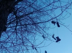 Квест для дворников устроили жильцы таганрогской многоэтажки