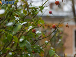 Таганрог: прогноз погоды с 27 ноября по 1 декабря