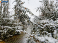 Весна недаром злится: уйдёт ли зима на новой неделе? 