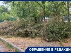 «Две недели дежурим, чтобы пожара не случилось»: жители Таганрога напуганы обрезкой деревьев и завалами возле дома
