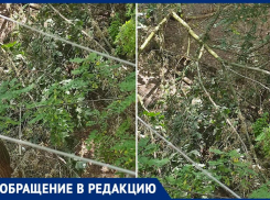 «Благоустройство» Таганрога уже несколько дней не выполняет своё обещание