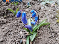 Какую погоду подготовила таганрожцам небесная канцелярия